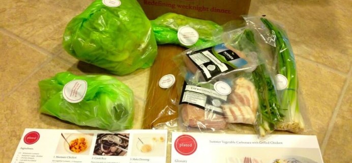 Plated Fresh Food Subscription Review: August 6 Delivery
