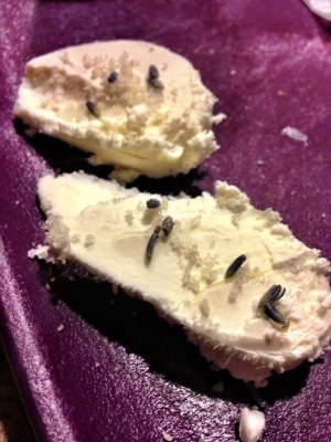 taste trunk august - lavender sea salt - goat cheese