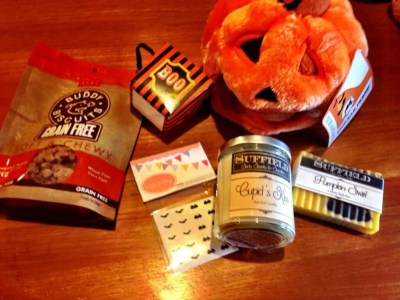 October Treats & Trends Review – Pet and “Mom” Subscription Box!