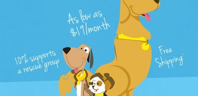 BarkBox Cyber Monday Deal + Giveaway