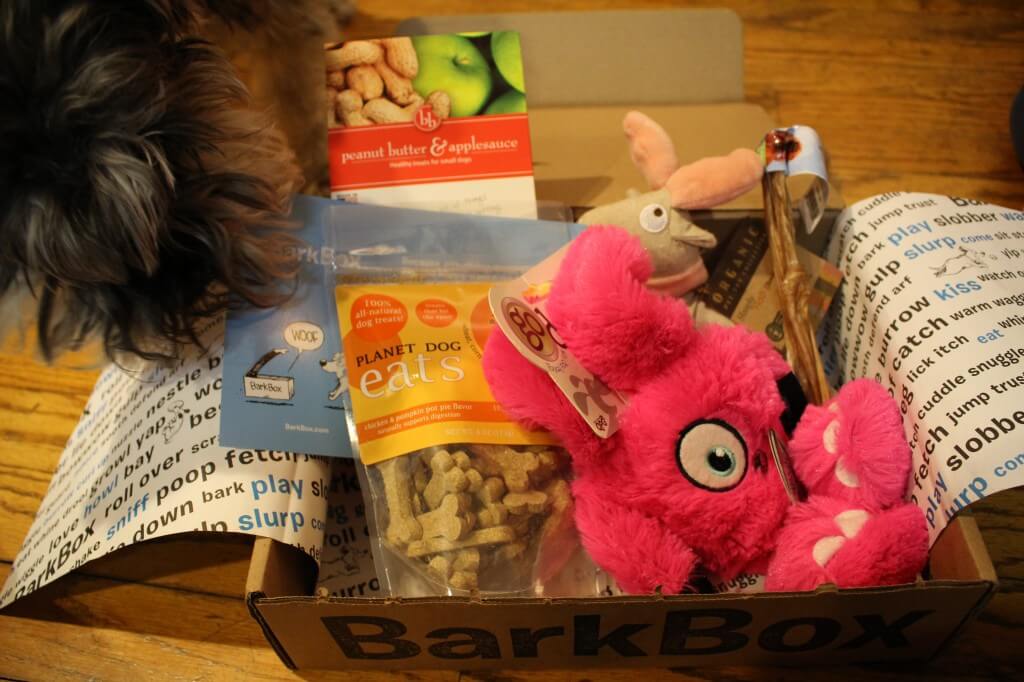 fred the reindeer barkbox