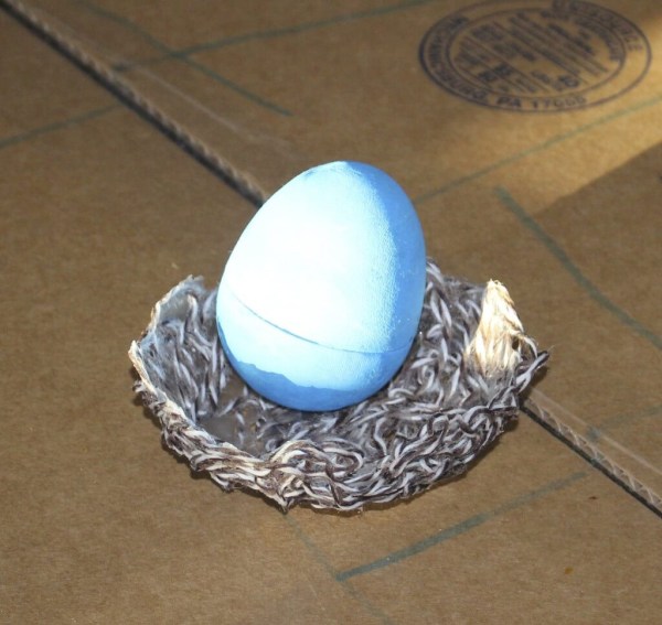 Egg in the Nest