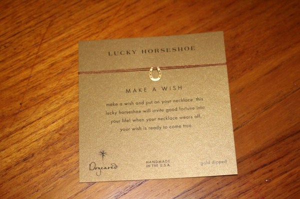 Dogeared Lucky Horseshoe Necklace 