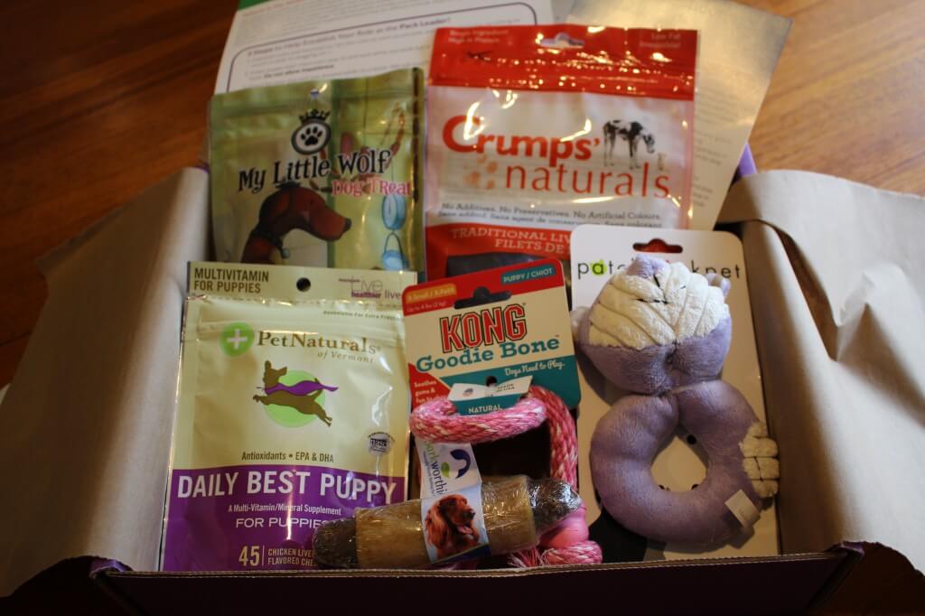 PupBox Review & Coupon New Subscription Box for Puppies! Hello