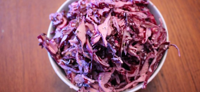 Spiralized Red Cabbage Slaw Recipe