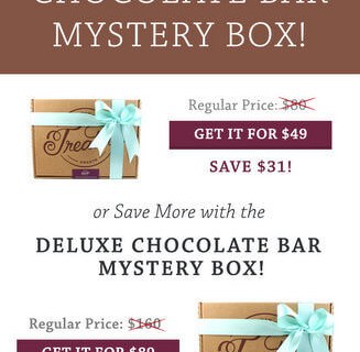 Save on New Treatsie Chocolate Bar Mystery Boxes!