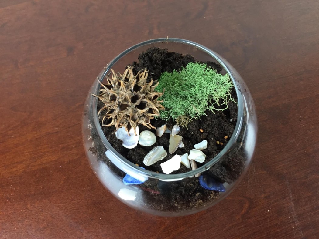 Prospurly Subscription Box Review + Coupon April 2015 hello