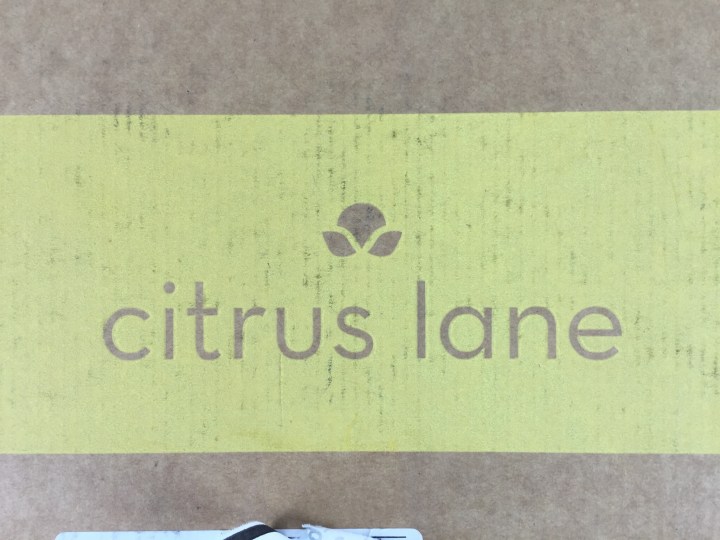 citrus lane 18 months old review june 2015 box