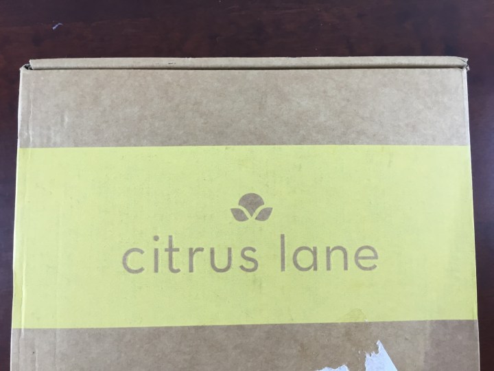 citrus lane june 2015 box