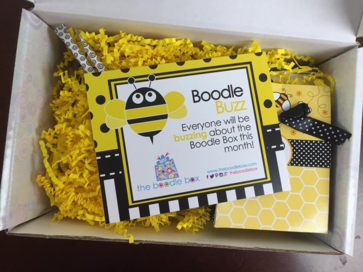 boodle box july 2015 review