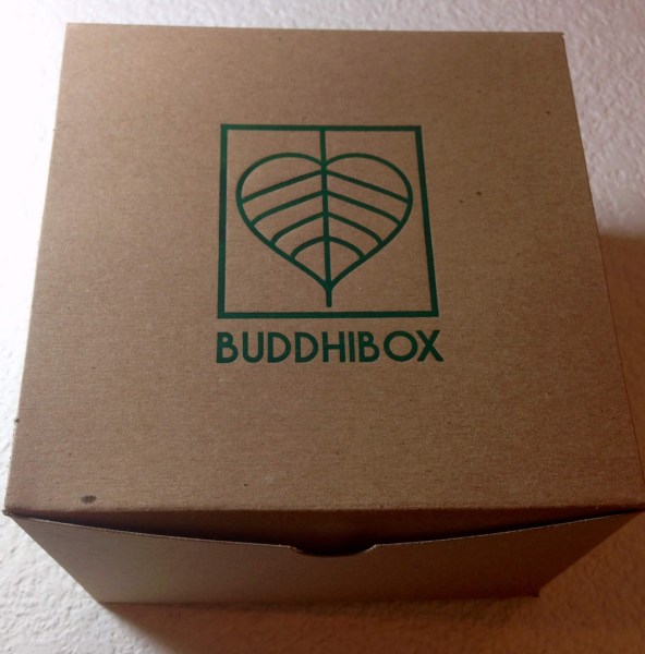 buddhibox june 2015 box