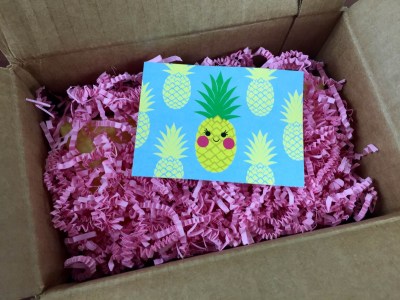 My Craft In A Box Review – July 2015 – Pineapple!