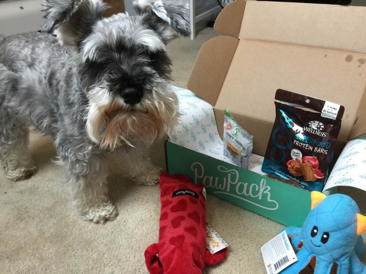 pawpack july 2015 dog review