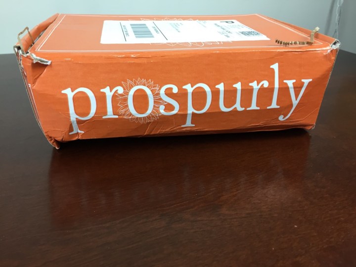 prospurly august 2015 box