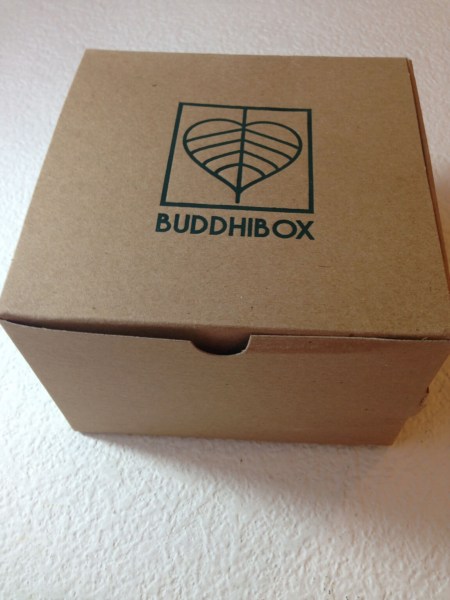 buddhibox august 2015 image3
