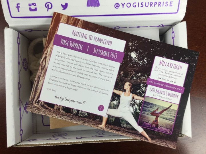 yogi surprise jewelry september 2015 unboxing