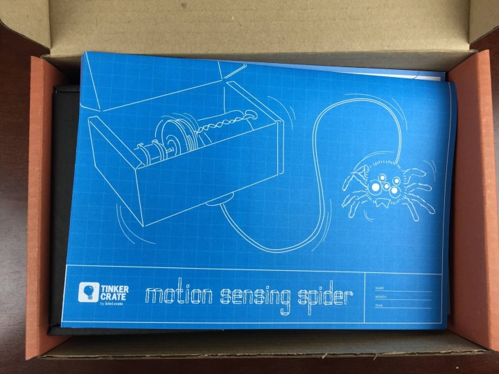 Tinker Crate Motion Sensing Spider unboxing