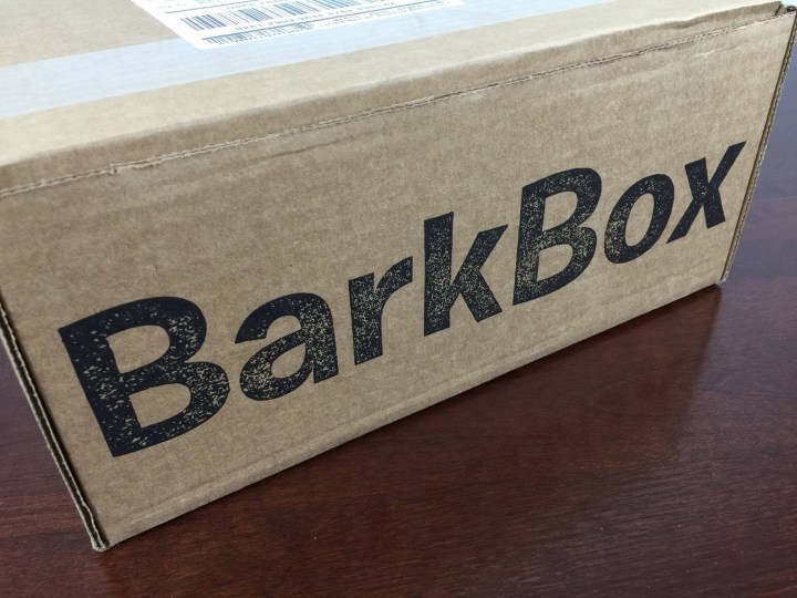 barkbox october 2015 box