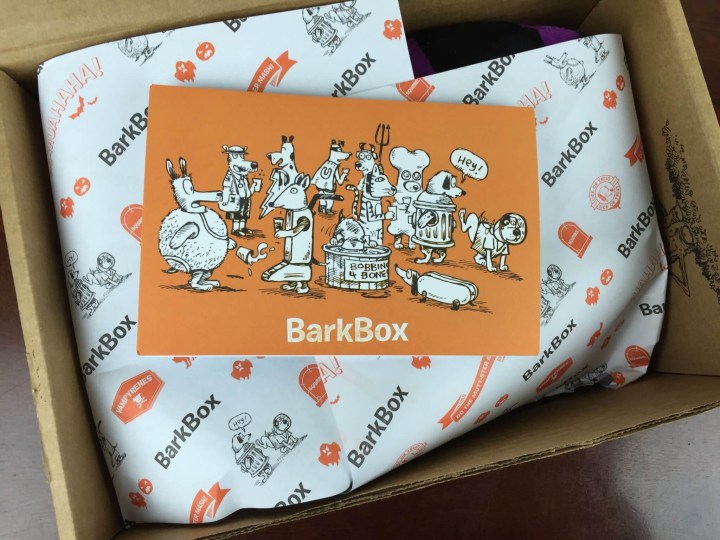 barkbox october 2015 unboxing