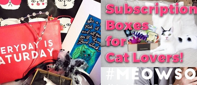 Subscription Boxes for National Cat Day