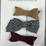 Little Poppy Co. Bow Subscription Review & Coupon - September 2015 ...