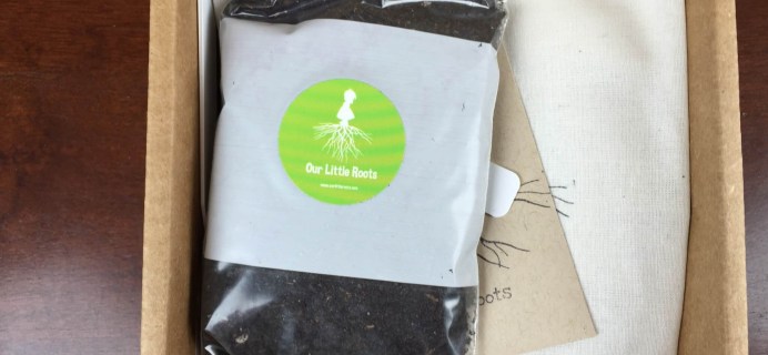 Our Little Roots Subscription Box Review & Coupon – September 2015