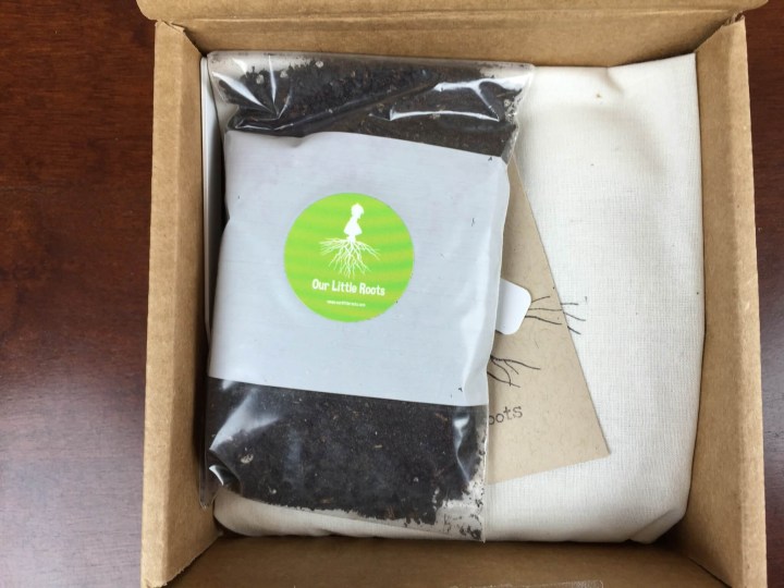 our little roots october 2015 unboxing