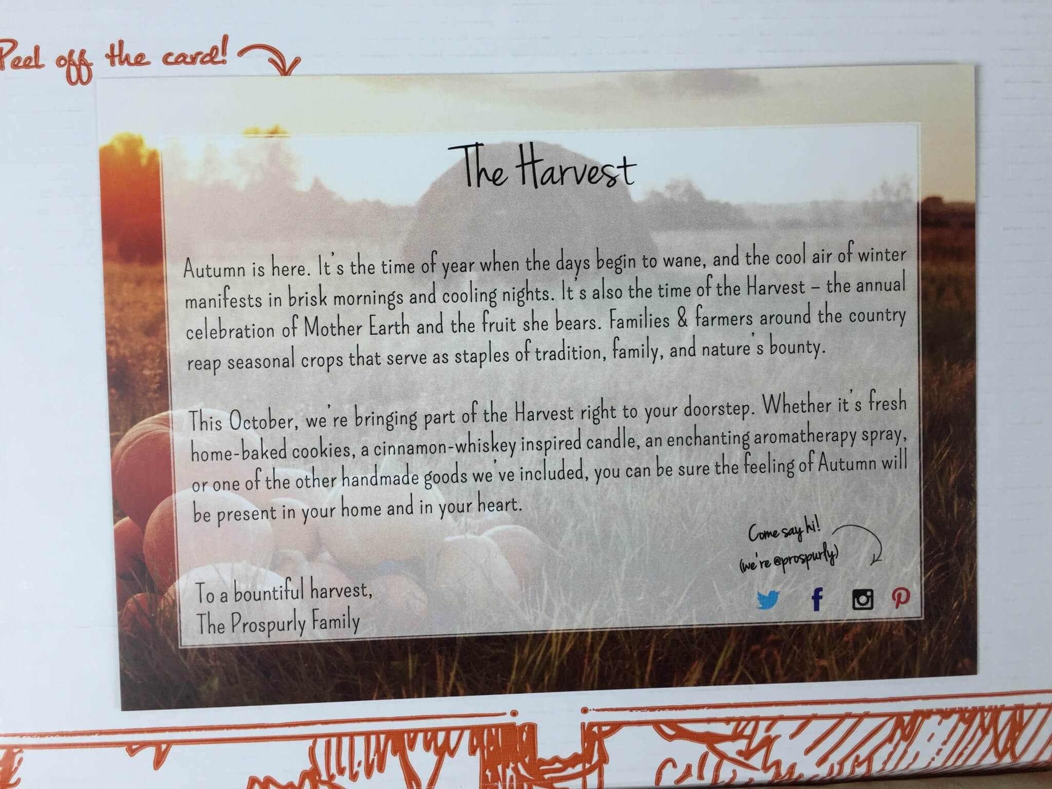 Prospurly Subscription Box Review + Coupon - October 2015 - hello ...