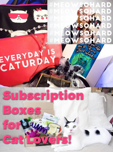 subscription boxes cat lovers