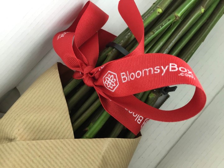BloomsyBox November 2015 bow