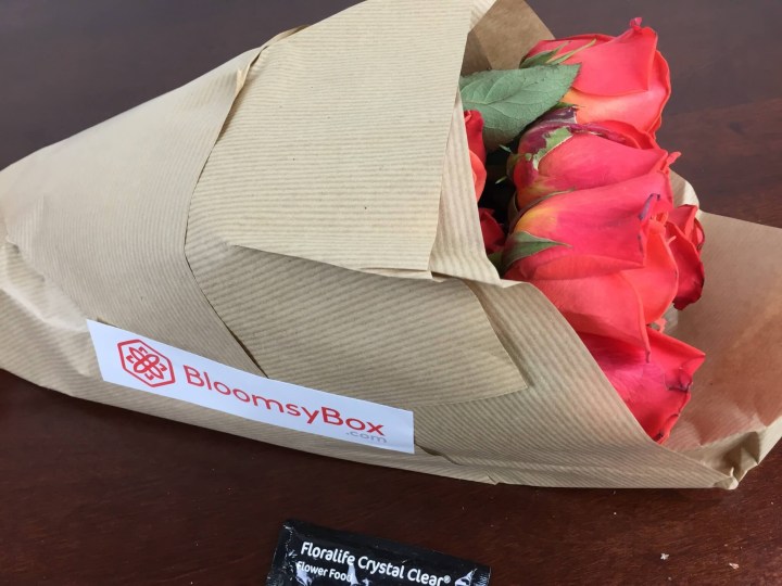 BloomsyBox November 2015 bundle