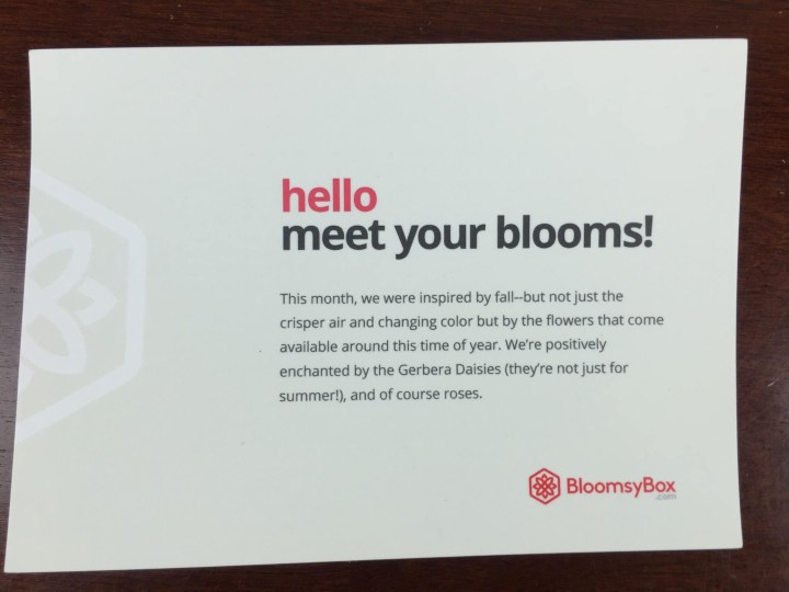 BloomsyBox November 2015 card