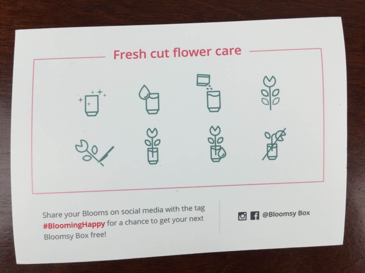 BloomsyBox November 2015 flower care