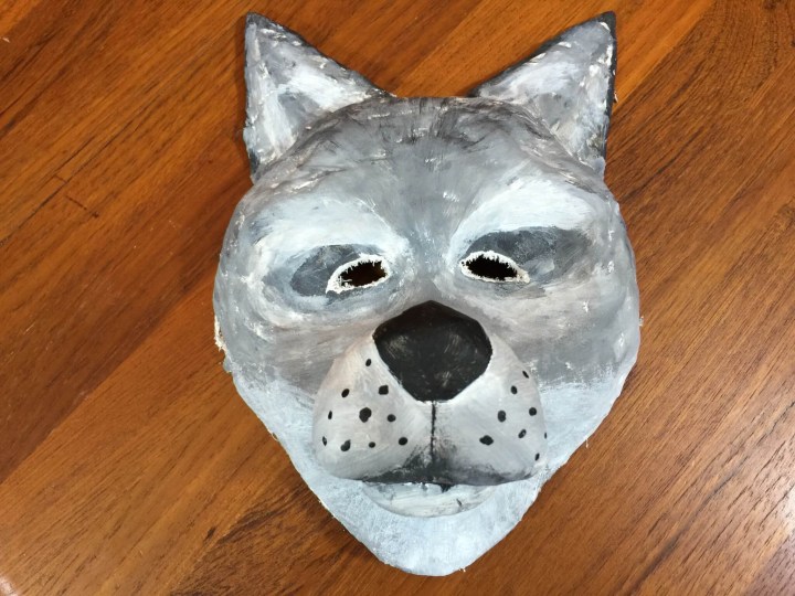 doodle crate fox mask review IMG_1996