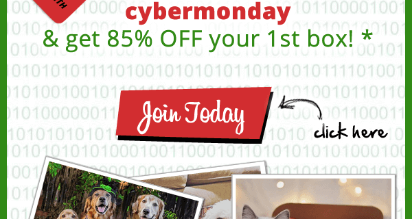 PetGiftBox Cyber Monday Deal – 85% Off First Box!