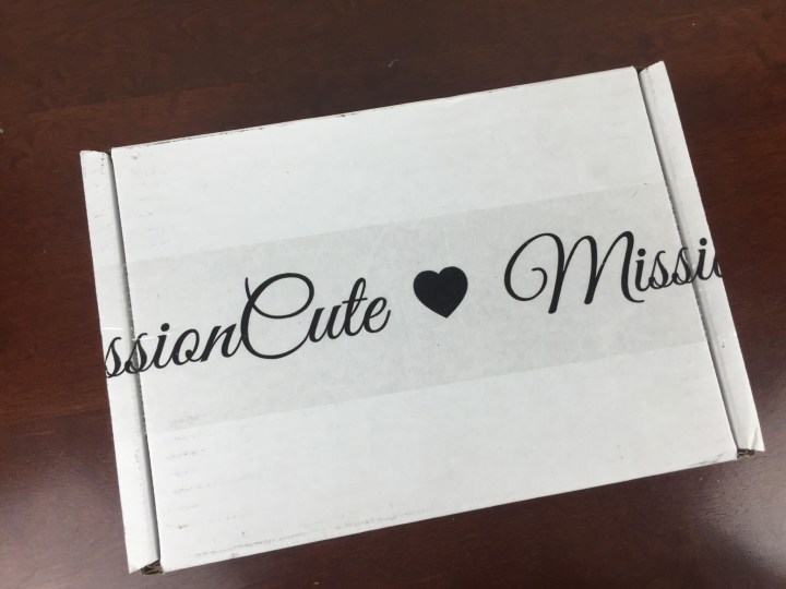 mission cute november 2015 box