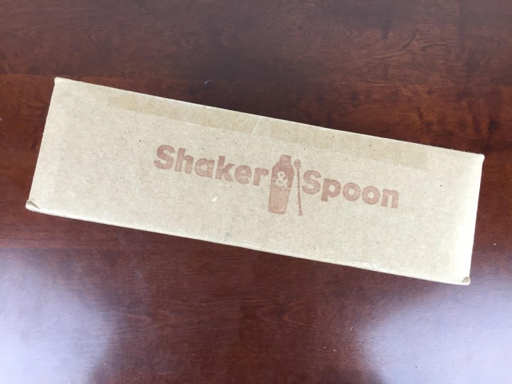 shaker spoon november 2015 box