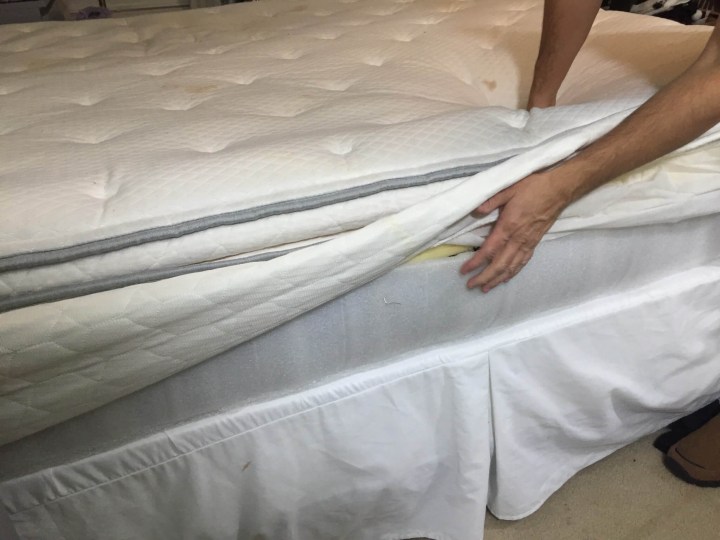 Tuft & Needle Mattress Review & Unboxing Hello Subscription