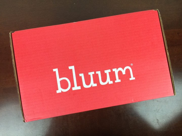 Bluum November 2015 box