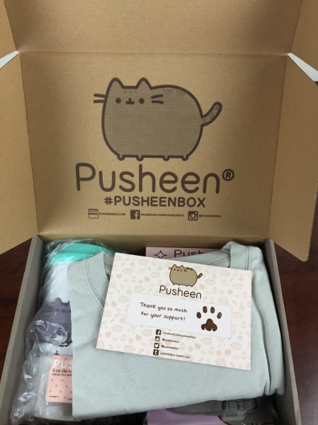 Pusheen Box December Winter 2015 lid