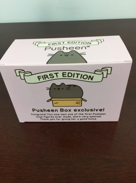 Pusheen Box December Winter 2015 vinyl box back