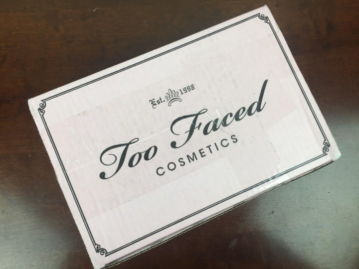 Too Faced Mystery Bag Review 2015 box