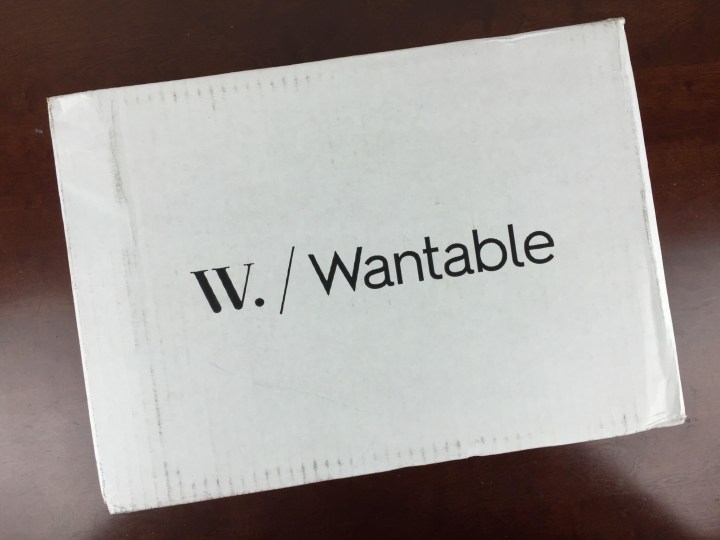Wantable Style Edit December 2015 box