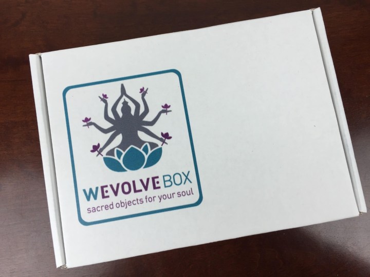Wevolve Box November 2015 box