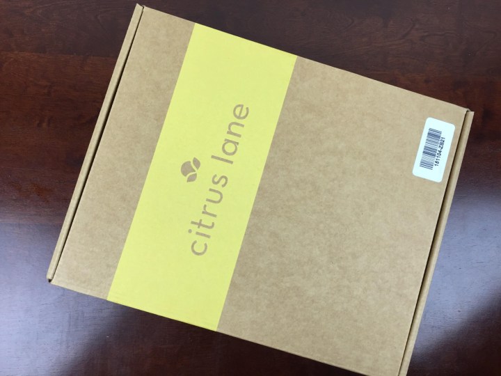 citrus lane november 2015 box