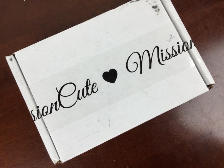 mission cute december 2015 box