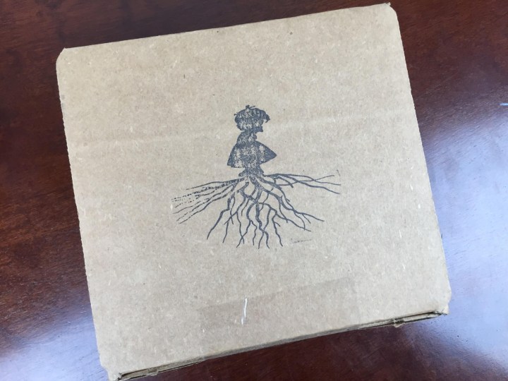 our little roots december 2015 box