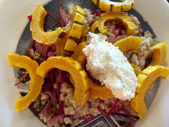 Roasted Delicata Squash with Wheatberries, Pickled Red Onion, and Fresh Ricotta hello fresh