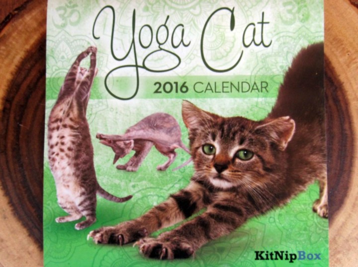 Yoga Cat Calender