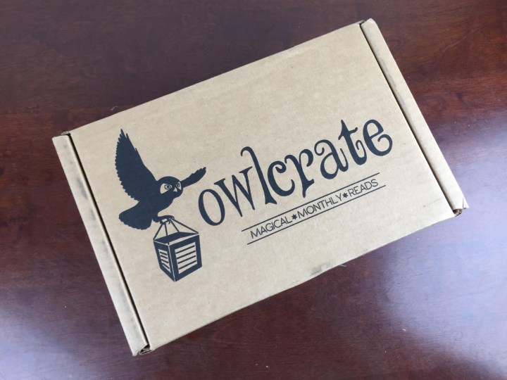 owl crate december 2015 box